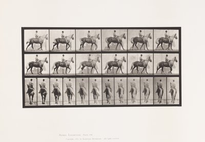 Plaat 653. Lopen; Zadel; Kreupel, Rechter Voorpoot; Paard-Buckskin door Eadweard Muybridge