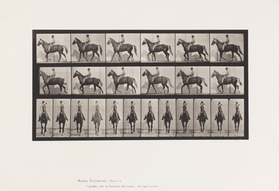 Plaat 654. Lopen; Zadel; Kreupel, Rechter Voorpoot; Paard-Buckskin door Eadweard Muybridge