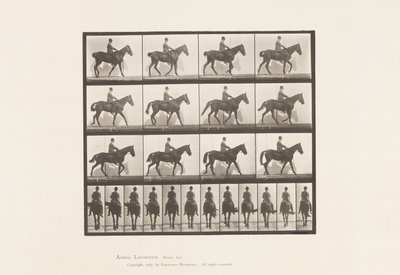 Plaat 655. Lopen; Zadel; Spat, rechter achterbeen; Paard door Eadweard Muybridge