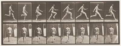 Rennen op volle snelheid door Eadweard Muybridge