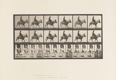 Plaat 667. Ezel; Lopend; Zadel; Een Jongen Rijdend, Dierentuin door Eadweard Muybridge