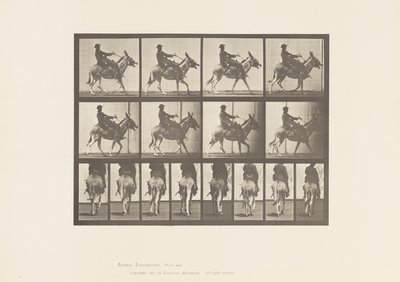 Plaat 668. Ezel; Tred; Zadel; Een Jongen Rijdt, Dierentuin door Eadweard Muybridge