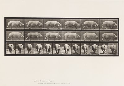 Plaat 674. Zeug; Lopen door Eadweard Muybridge
