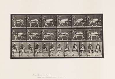 Plaat 677. Geit; Lopend in sulky door Eadweard Muybridge