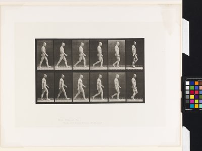 Plaat 6. Lopen door Eadweard Muybridge