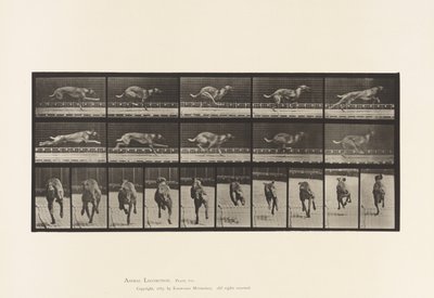 Plaat 708. Hond; Galopperen; Bruine Renhond door Eadweard Muybridge