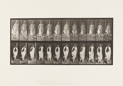 Plaat 71. Rennen, 1885 door Eadweard Muybridge