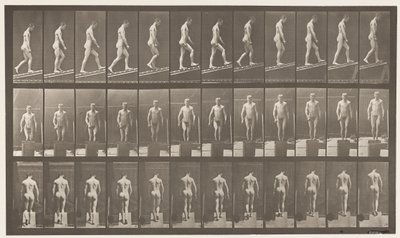 Plaat 74. Helling beklimmen, hoek 1 op 4 door Eadweard Muybridge