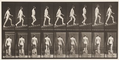 Hellend vlak beklimmen, hoek 1 op 4 door Eadweard Muybridge