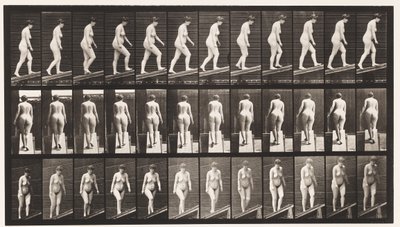 Plaat 77. Helling beklimmen door Eadweard Muybridge
