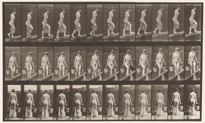 Plaat 82. Helling Beklimmen, Emmer Water in Elke Hand door Eadweard Muybridge