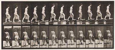Plaat 83. Helling Beklimmen, Emmer Water in Rechterhand door Eadweard Muybridge