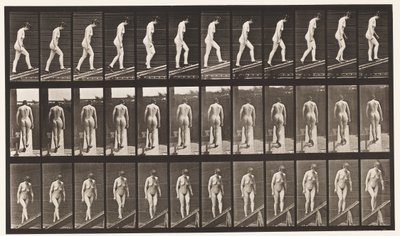 Hellend vlak beklimmen door Eadweard Muybridge