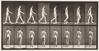 Plaat 8. Lopen door Eadweard Muybridge