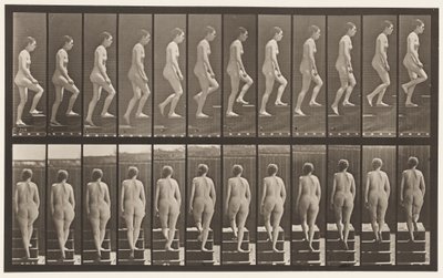 Plaat 92. Trap Beklimmen door Eadweard Muybridge