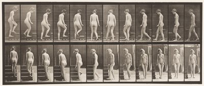 Omdraaien en trap oplopen door Eadweard Muybridge