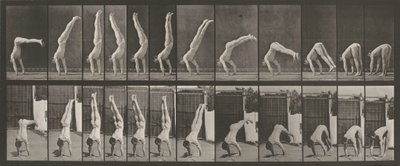 Plaat nummer 371. Acrobat, verticaal "omhoog drukken",1887 (foto) door Eadweard Muybridge