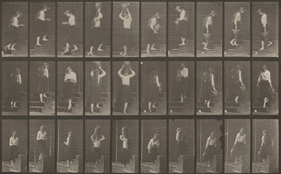 Plaat Nummer 504. Op- en Afdalende Trappen door Eadweard Muybridge