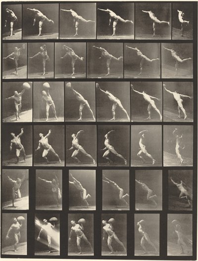 Plaat nummer 523. A: Een slag slaan. B, E: Schijf werpen. C, F: Een steen van 75 pond heffen. D: Een bal gooien door Eadweard Muybridge