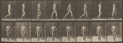 Plaat nummer 5. Wandelen,1887 (foto) door Eadweard Muybridge
