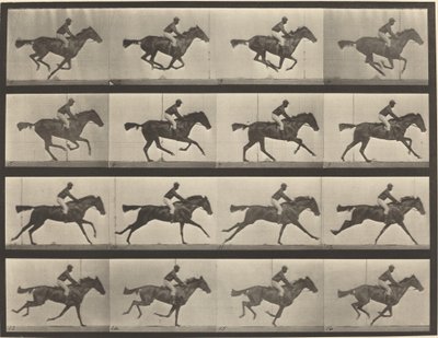 Plaat nummer 626. Galop, volbloed bruine merrie, Annie G. door Eadweard Muybridge