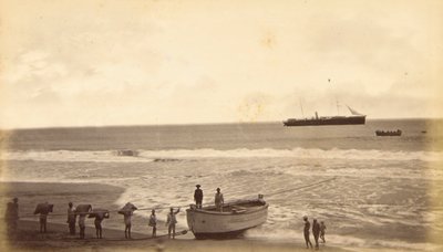 Scheepskoffie, Champerico, Guatemala door Eadweard Muybridge