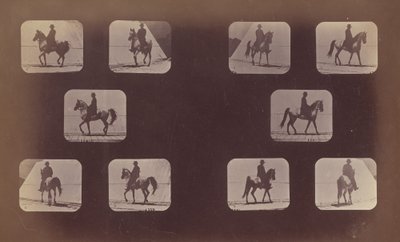 Studies van Verkortingen. Paarden. Lopen. Mahomet. Nrs. 119-120 door Eadweard Muybridge