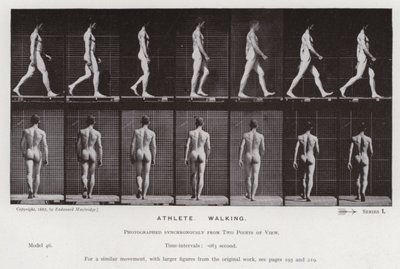 De menselijke figuur in beweging: Atleet, wandelend door Eadweard Muybridge