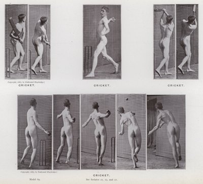 De menselijke figuur in beweging: Cricket door Eadweard Muybridge