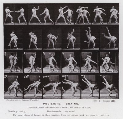 Het Menselijk Lichaam in Beweging: Pugilisten, Boksen door Eadweard Muybridge