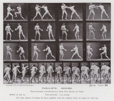 De menselijke figuur in beweging: Boksers, boksen door Eadweard Muybridge