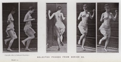 De menselijke figuur in beweging: Geselecteerde fasen uit serie 55 door Eadweard Muybridge