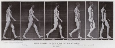 De menselijke figuur in beweging: Enkele fasen in de wandeling van een atleet door Eadweard Muybridge