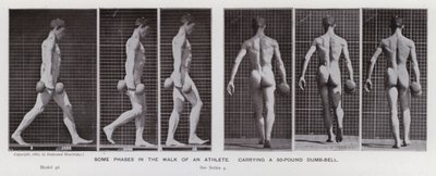 De menselijke figuur in beweging: Enkele fasen in de wandeling van een atleet, met een halter van 50 pond door Eadweard Muybridge