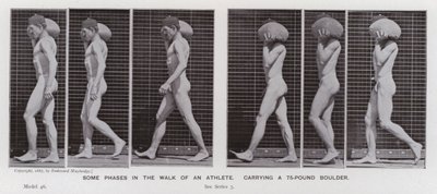 De menselijke figuur in beweging: Enkele fasen in de wandeling van een atleet, een 75-ponds kei dragend door Eadweard Muybridge