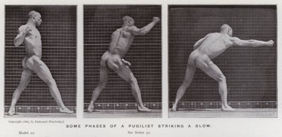De menselijke figuur in beweging: Enkele fasen van een bokser die een slag toebrengt door Eadweard Muybridge
