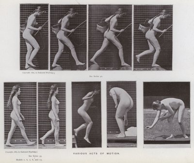 De menselijke figuur in beweging: Verschillende handelingen van beweging door Eadweard Muybridge