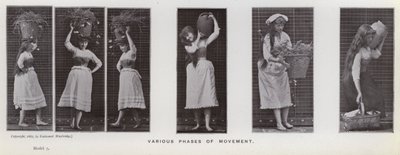 De menselijke figuur in beweging: Verschillende fasen van beweging door Eadweard Muybridge