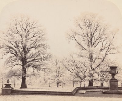Rijp, een Parkscène, 1862 door Earl of Caithness James Sinclair