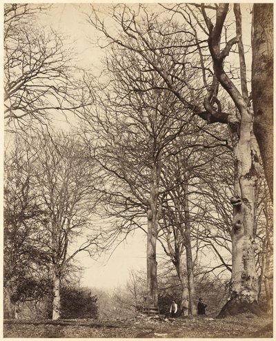 Beuk van koningin Adelaide door Earl of Caithness and William Bambridge