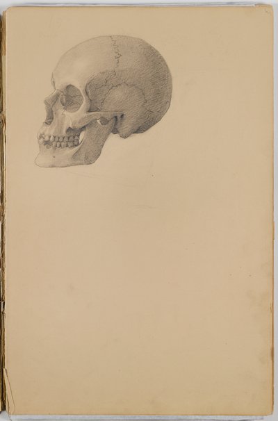 Anatomie Schetsboek, 1849 door Eastman Johnson