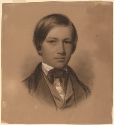 Portret van een Jonge Man door Eastman Johnson