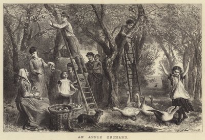 Een appelboomgaard (gravure) door Ebenezer Newman Downard