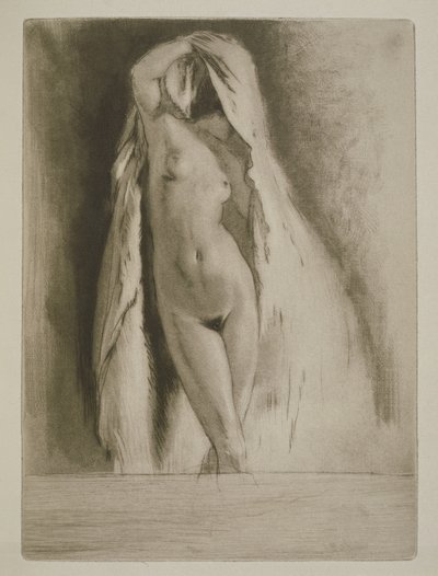 Een vrouw gehuld in een laken, illustratie voor 