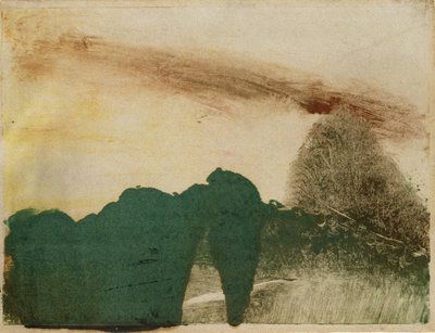 Bos in de Bergen, ca. 1890 door Edgar Degas