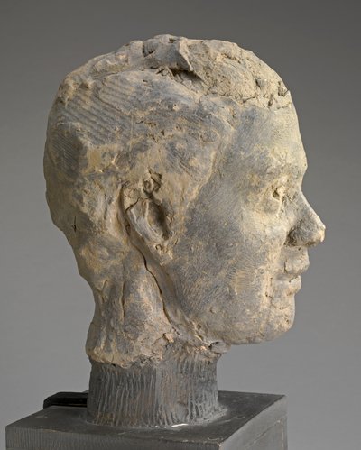 Hoofd, studie voor een portret van Mme Salle, c.1892 door Edgar Degas