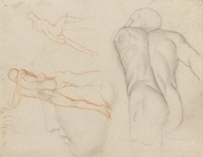 Studies van 