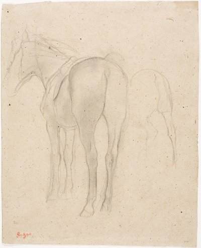 Studies van een Paard door Edgar Degas