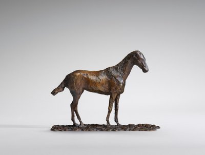 Studie van een Mustang door Edgar Degas