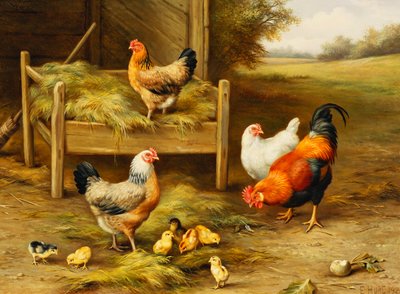 Kippen en kuikens voeren door Edgar Hunt